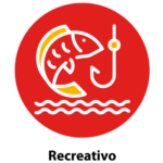Insumos de pesca